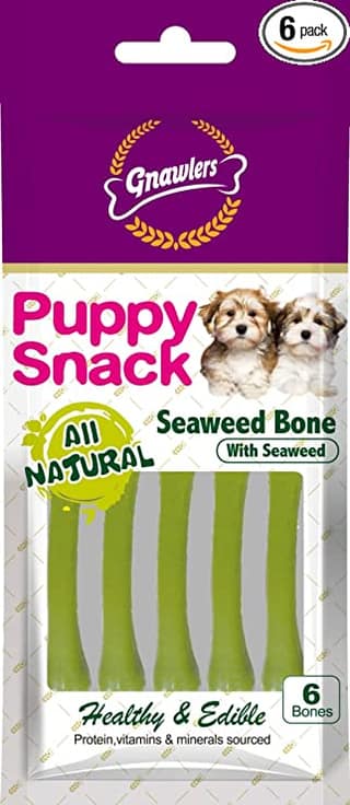 Gnawlers Seaweed Jar 40 Gms