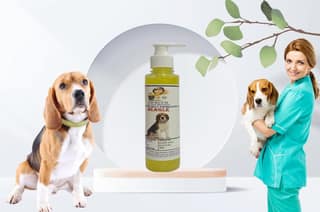 SWACCH Premium Shampoo for Beagle (200ML) Lemon