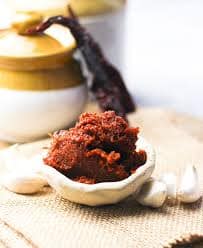VISHAKA GARLIC CHUTNEY 100GM