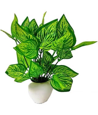 Green plant indoor Artificial Money Plant Bonsai Green Bonsai Plastic - Pack of 1