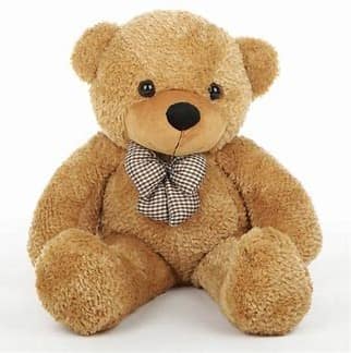 Teddy bear view 2