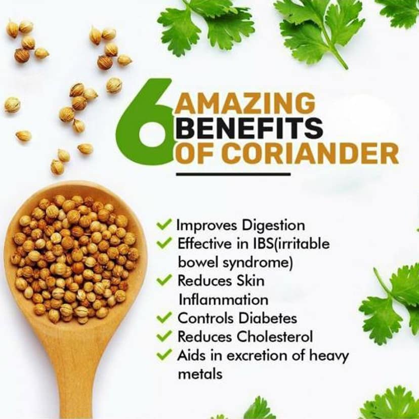 NEXTSTEP ORGANIC Premium Whole Coriander Seeds 200gm | Sabut Dhania / Dhaniya view 3