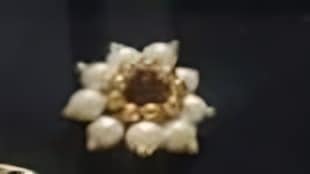 Micro Goldplatet Gugari 30 Gms
