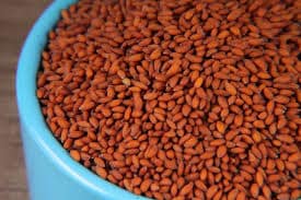 HALIM / ALIV 100 GMS