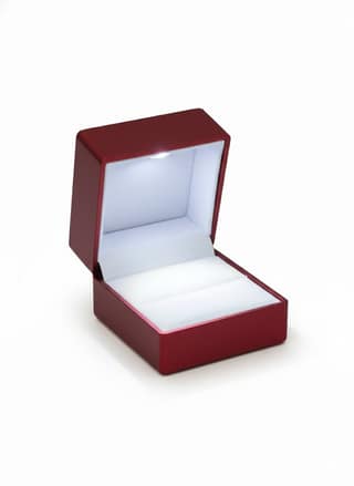 Ring light box