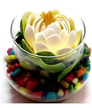 Green plant indoor Lotus White Flowers With Pot - Pack of 1