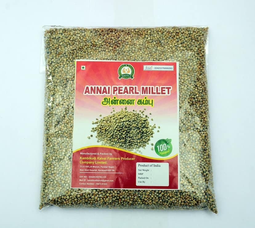 Pearl Millet view 3