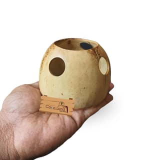 CocoLand Coconut Shell Brush Holder
