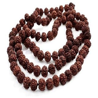 Lab certified rudraksha beads maala natural shiv moksha beads mala by Ceylonmine