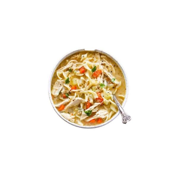 Chicken Noodle Soup