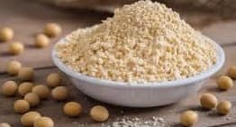 SOYABEAN PITH 250GM