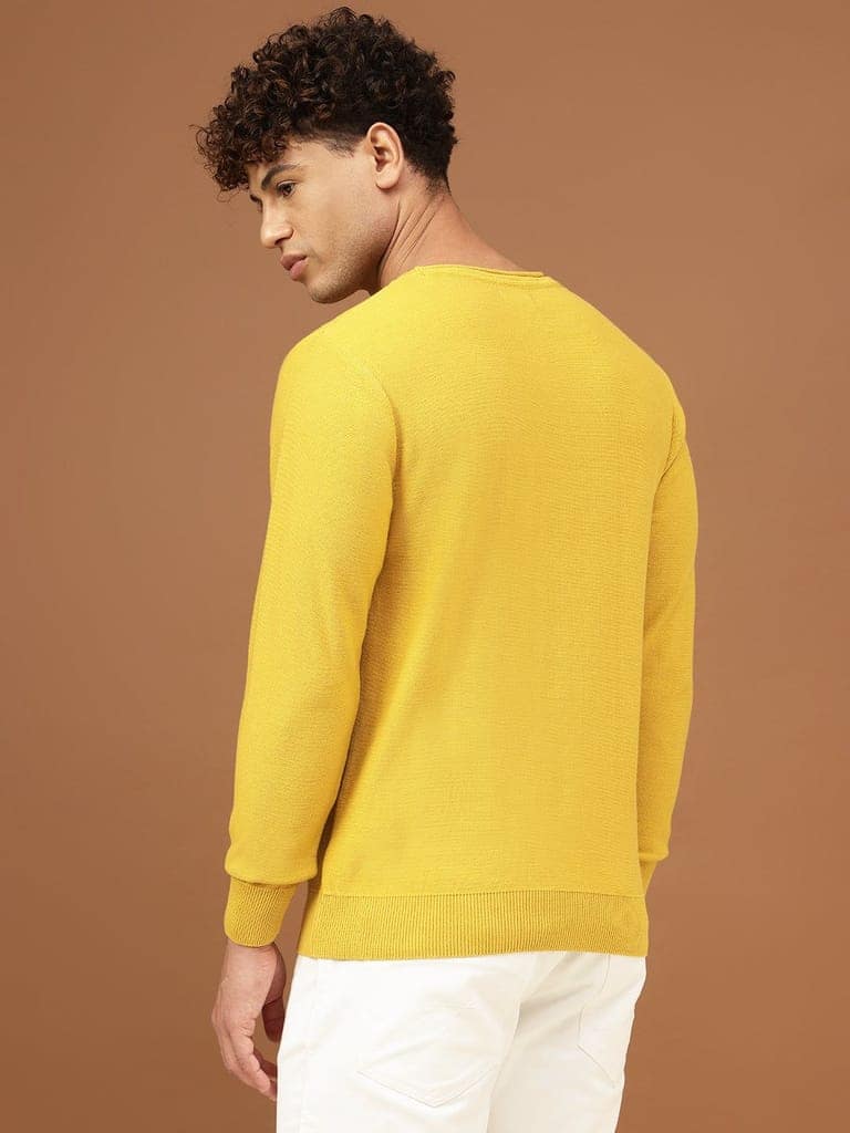 Richlook Men Amber Full Sleeve Sweater view 3