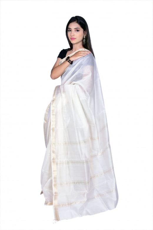 Tribes India Handwoven Maheshwari Saree 1TTXSARMP00361 view 2