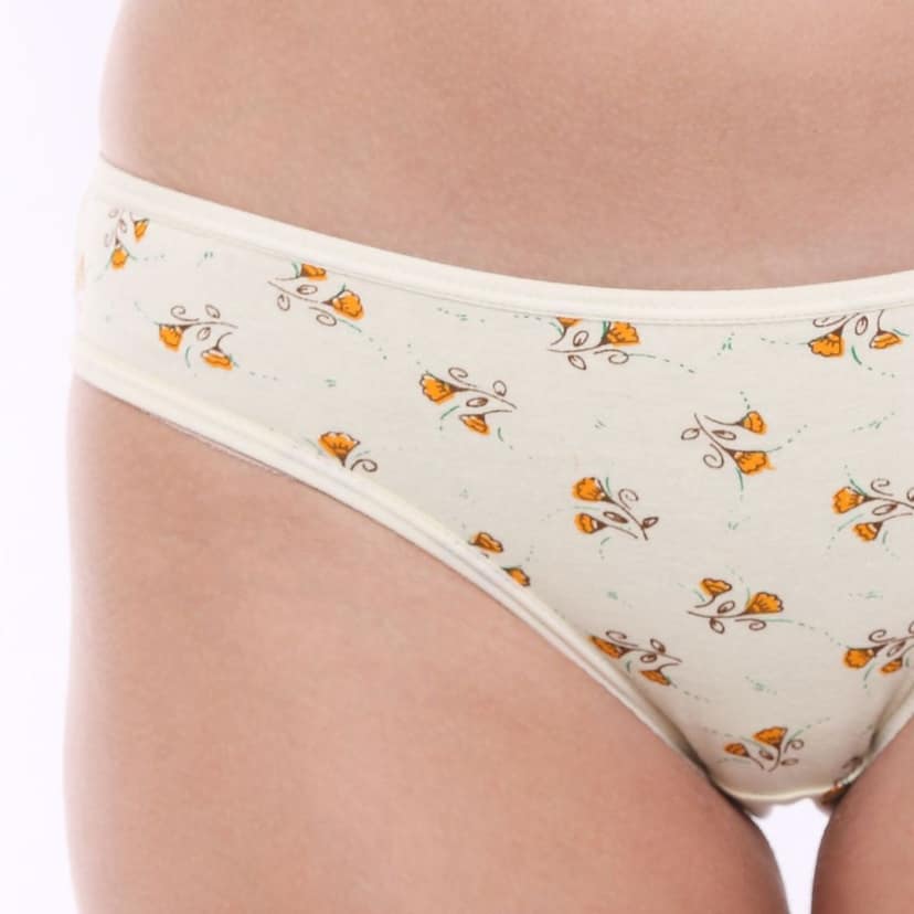 Bodycare women's combed cotton assorted Hipster Panty Pack of 3 ( 12000 ) view 6