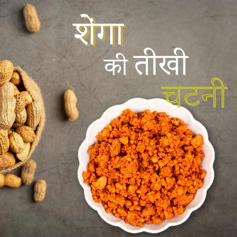 Jayashri Homemades Peanut Chutney | Healthy & Tasty Authentic Solapur Hand Pounded Shenga Chutney | Groundnut Chutney Pudi 400g view 3
