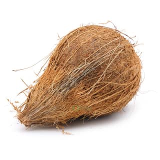 SS COCONUT