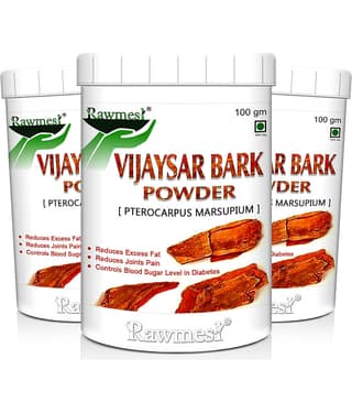 Rawmest Vijaysar Bark Powder 300 Gm Pack of 3