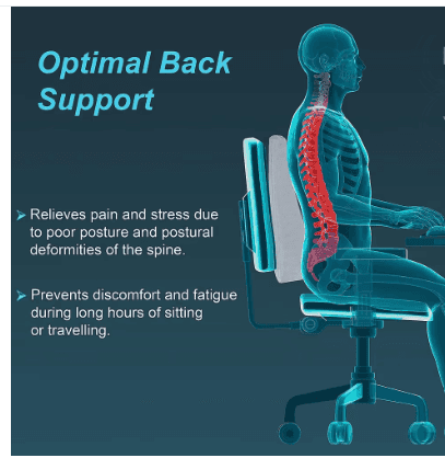 Tynor Back Rest Ergonomic Lumbar Back Support Cushion for Office Chair & Car Seat - Light Grey view 2