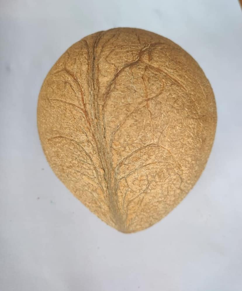 Dry coco ball,Dry coconut view 3