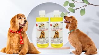 SWACCH Shampoo Specially FORMULATED for Cocker Spaniel (500ML) (Pack of 2) Lemon