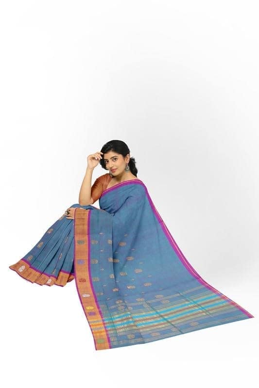 APCO Handloom - Women's Venkatagiri Pure Cotton Handloom Saree, Blue 09 view 4