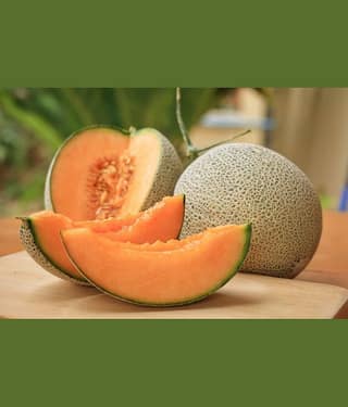 Musk Melon Golden Orange Flesh, Muskmelon Seeds, 30 Kharbuja Seeds