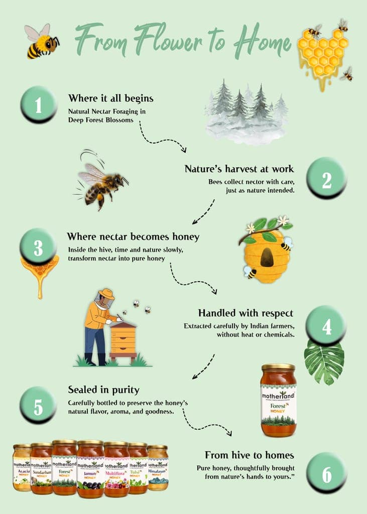 Pure & Raw Wild Forest Honey | Motherland Pure view 3