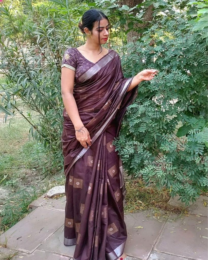 Pure Kota Silk Saree Brown Color Weaving Jaquard-7867 view 7