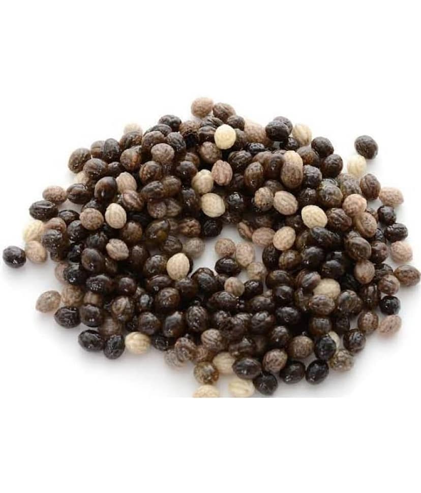 homeagro Papaya Red Lady Fruit-F1 Taiwan Hybrid Seeds Plant - 50 seed + Instruction Manual view 2
