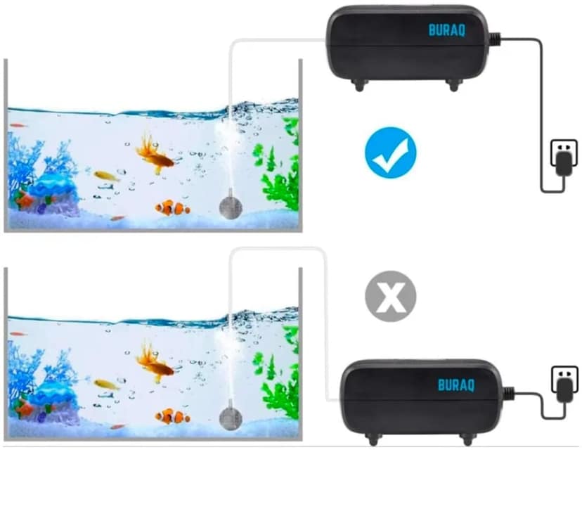 Fish Oxygen Small