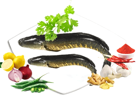 Kakarla Home Made Korameenu Pickle - (250g) view 3