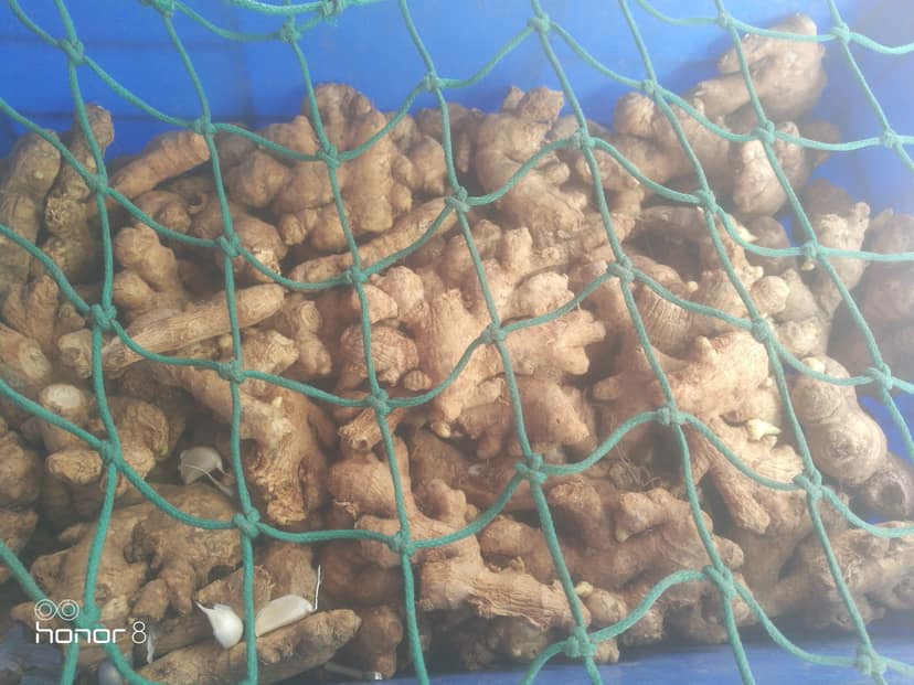 Ginger fresh