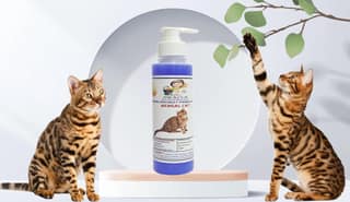 SWACCH Premium Shampoo for Bengal CAT (200ML) Lavender