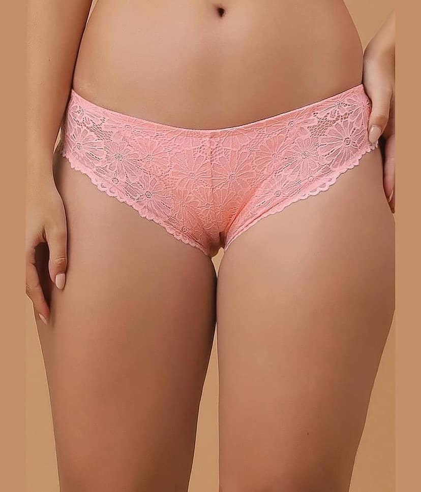 Soie Pack of 1 Nylon Hipster For Women ( Pink )
