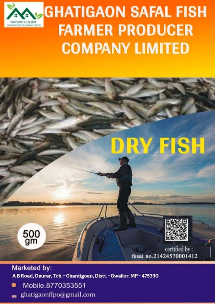 Dry Fish view 3