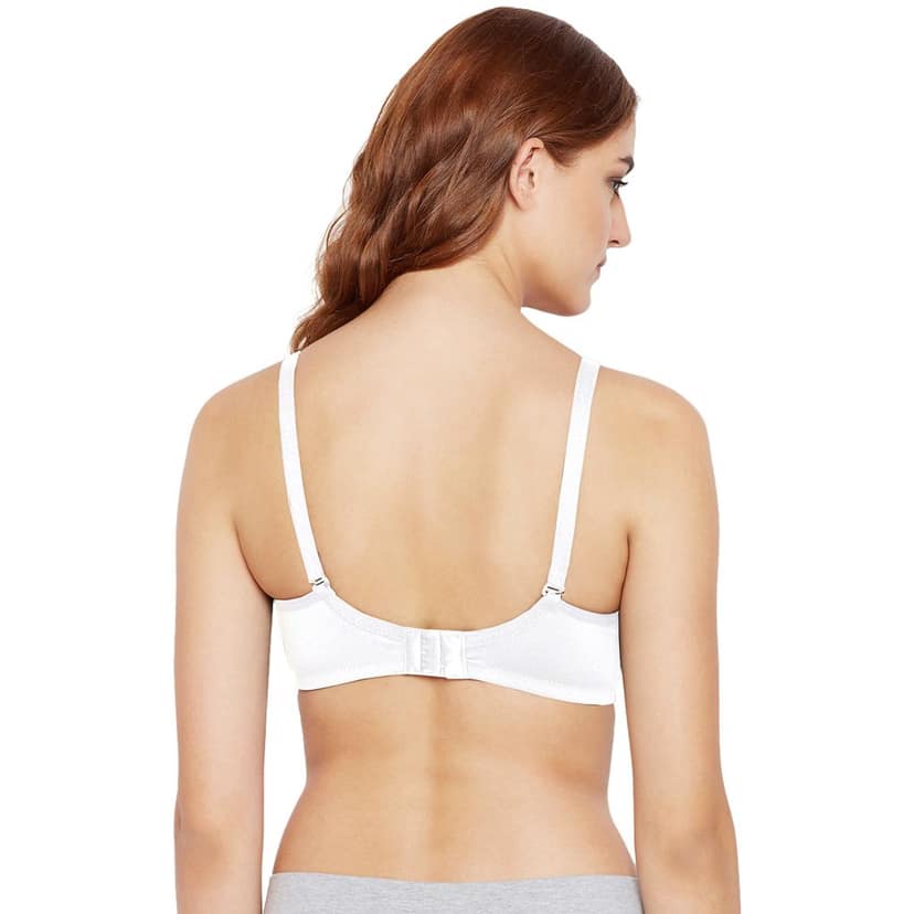 Bodycare Polycotton Non Padded Non wired Seamless cup bra-Pack of 3 view 4