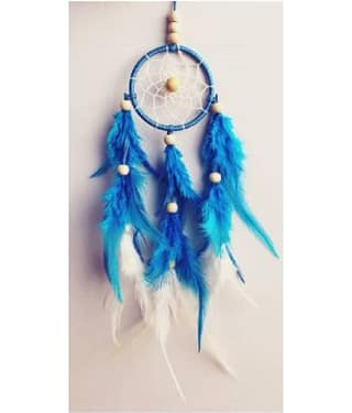Lucky Traders Feather Multicolour Dream Catcher - Pack of 1 ( X cms )