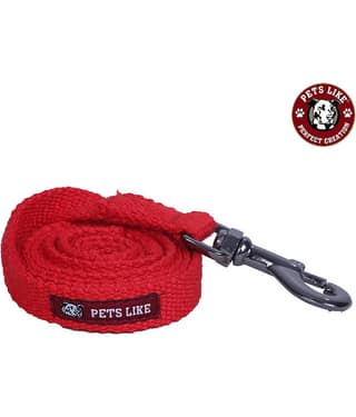 pets like Red Leash ( Large )
