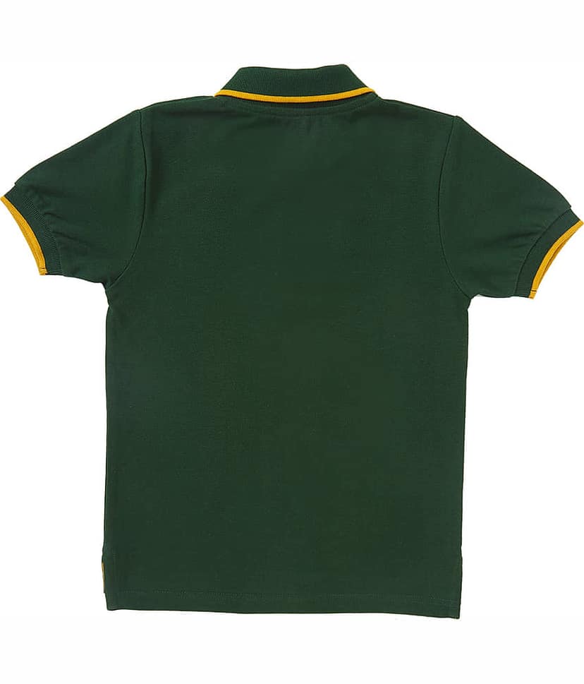 Cub Mcpaws Pack of 1 Boys Cotton T-Shirt ( Green )