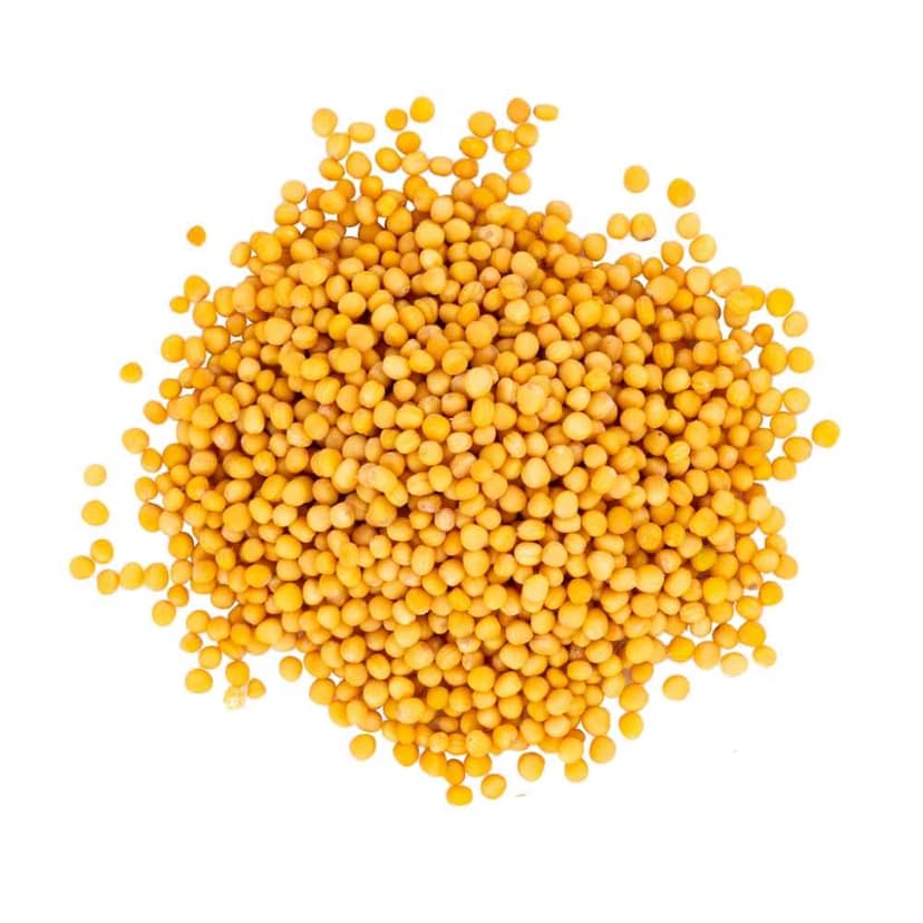 MUSTARD view 3