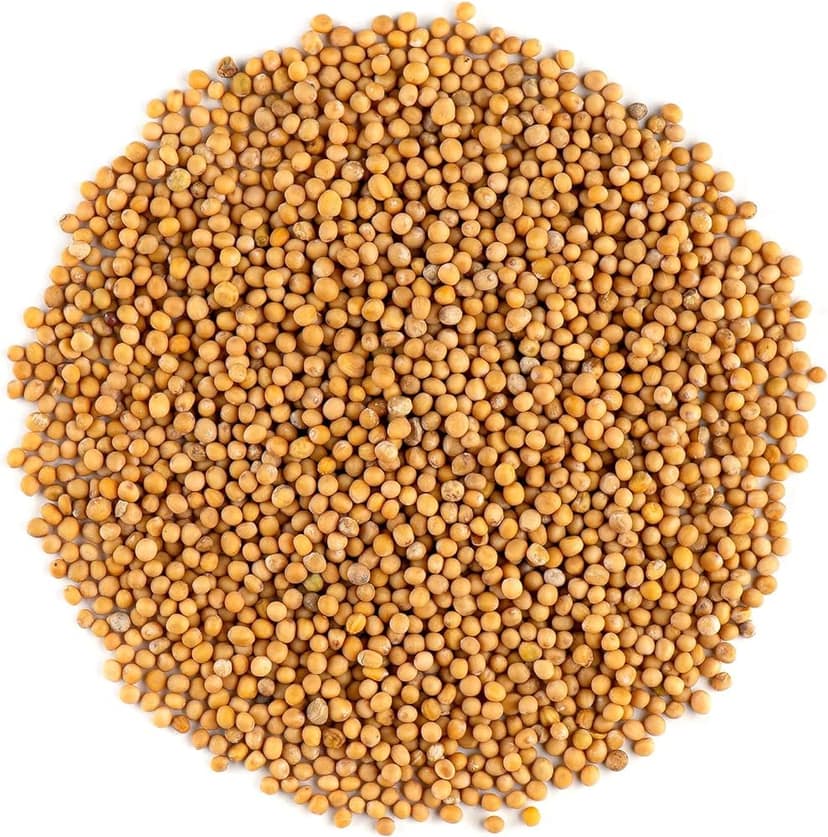 MUSTARD view 4