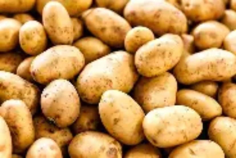 Fresh Potatoes - 100 kg - Bulk quantity
