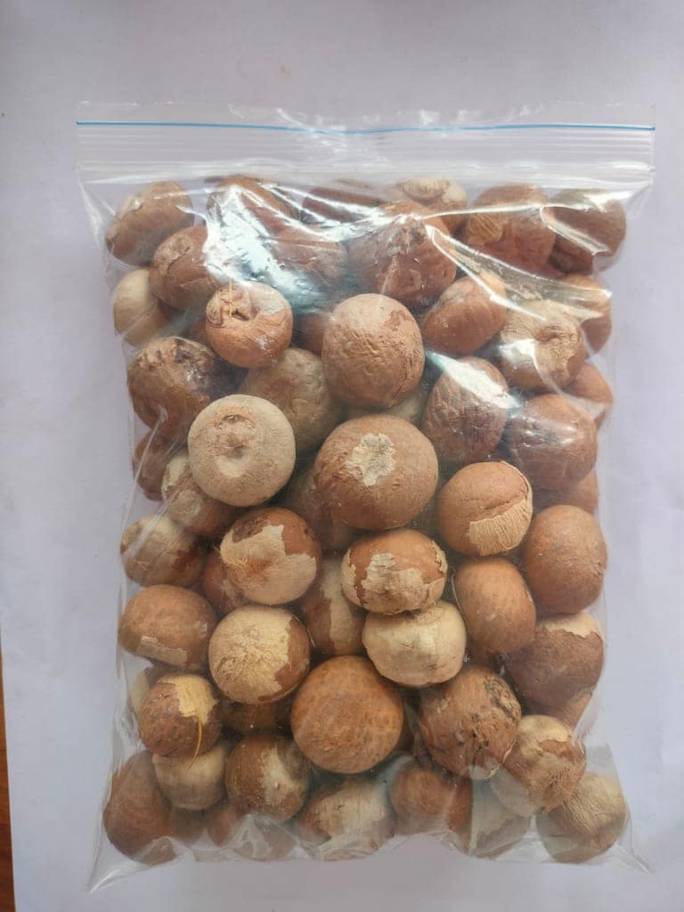 Areca Nut, Betelnut(Supari) view 3