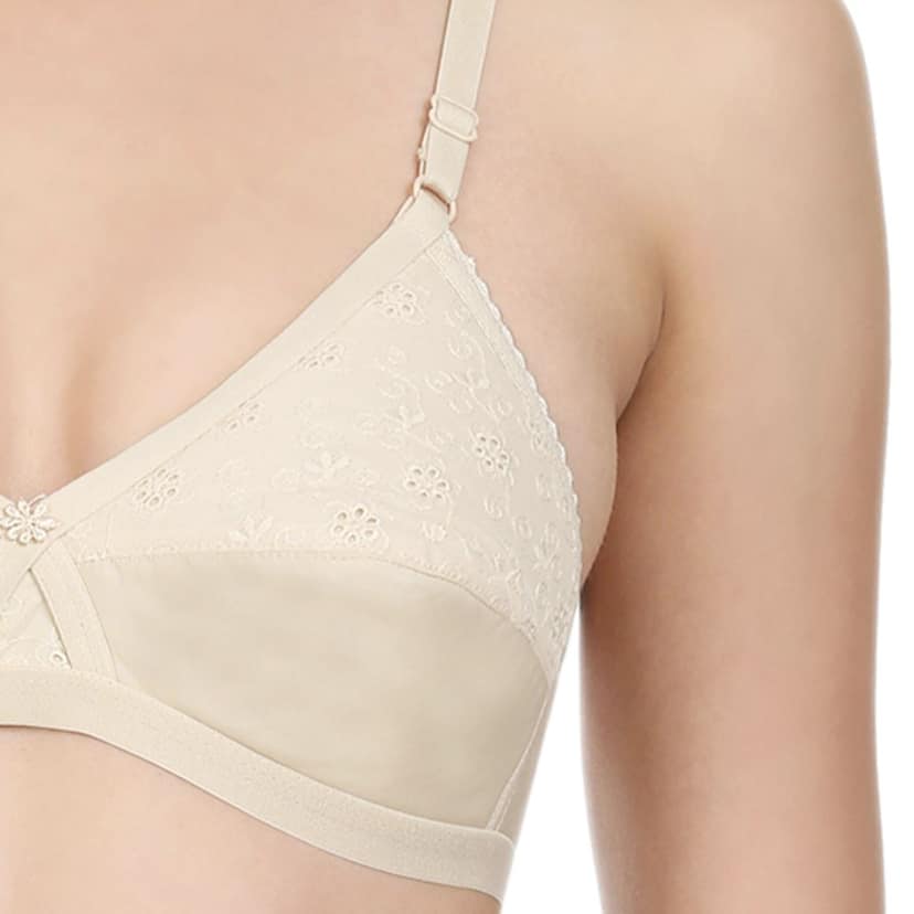 Bodycare Cotton Lightly Padded Non wired Tshirt Bra-Pack of 3 view 5