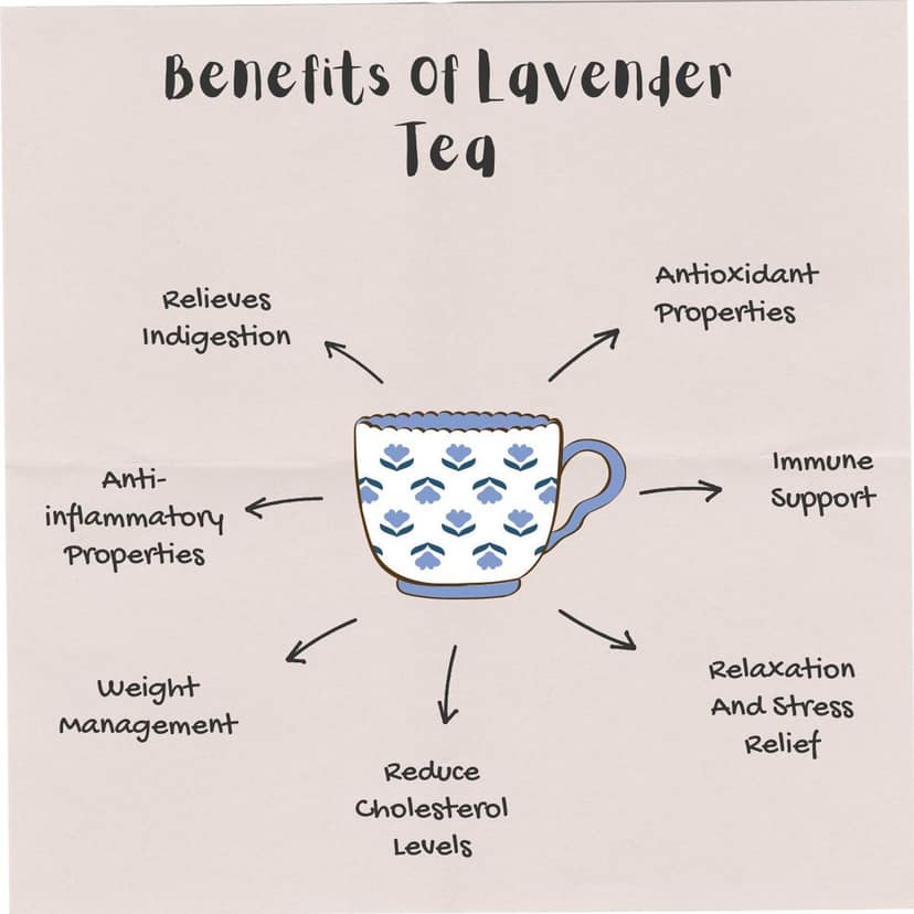 Wemalley Organic Lavender Flowers Lemon Tea Teabags 40 grams| Treats Migraine| Reduces Stress & Anxiety| Rich in Antioxidants| 0% Bitterness| 20 Teabags view 7