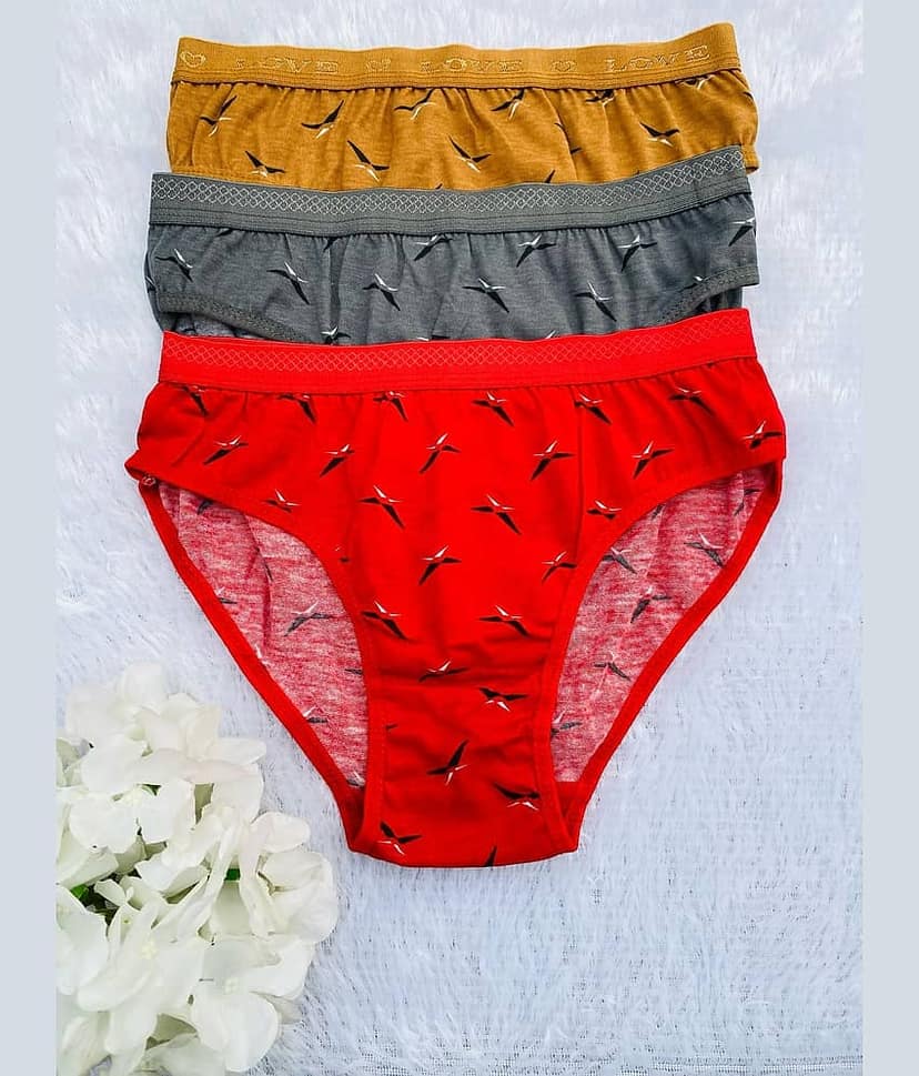 The Tusht Pack of 6 Cotton Hipster For Women ( Multi Color ) view 2