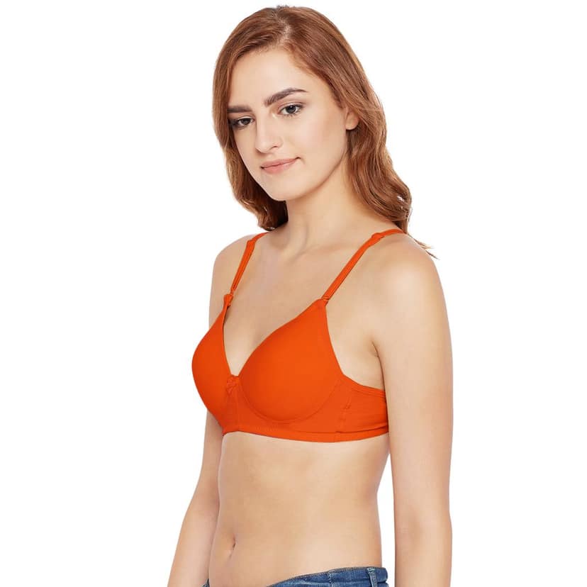 Bodycare Cotton Spandex Padded Non wired Tshirt Bra-Pack of 3 view 3