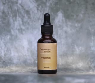 Ganoderma (Reishi) Mushroom Tincture (30ml)