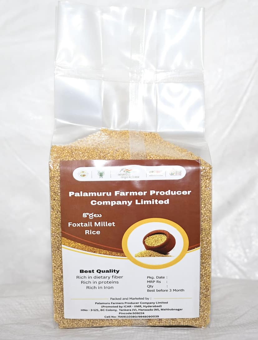 Foxtail Millet Rice