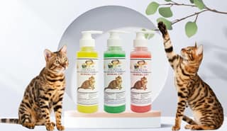 SWACCH Premium Shampoo for Bengal CAT (200ML) (Combo Pack of 3) Lemon, NEEM ALOVERA & Jasmine